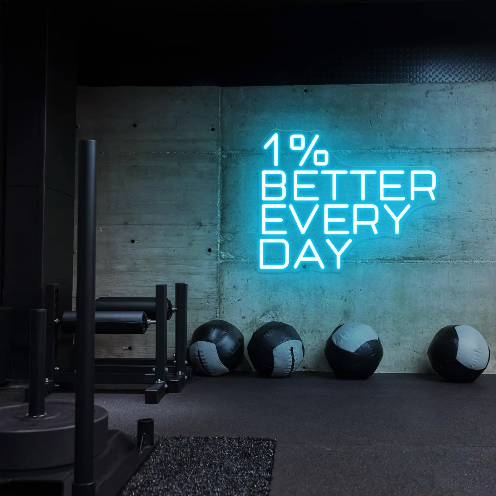 1% Better Every Day Neon Sign, - Home Gym Neon Sign recension och pris