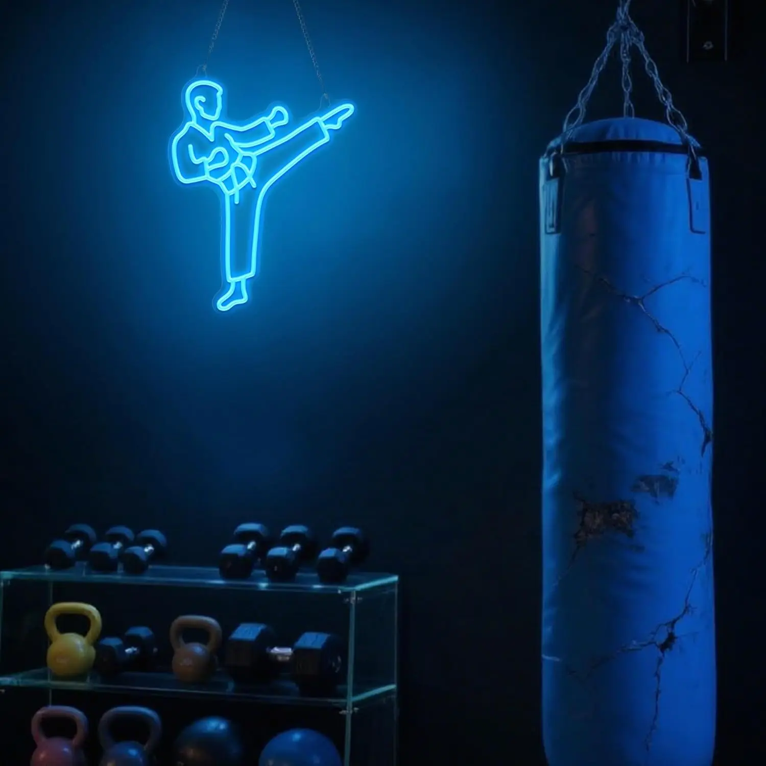 Karate Man Neon Sign Blue LED  - Home Gym Neon Sign recension och pris